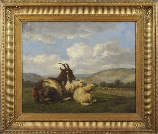 Chevre Et Moutons Oil Painting by Louis Robbe