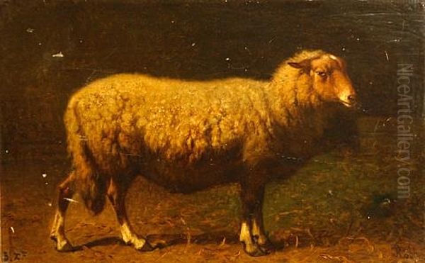 A Sheep (study) Oil Painting by Louis Robbe