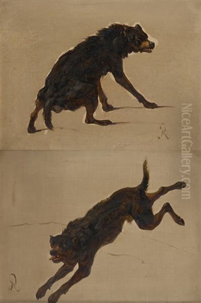 Chien (study) Oil Painting by Louis Robbe