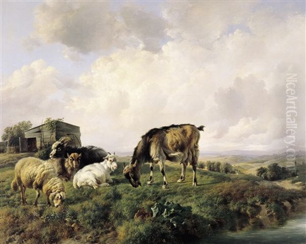 Landschap Met Schapen En Geiten Oil Painting by Louis Robbe