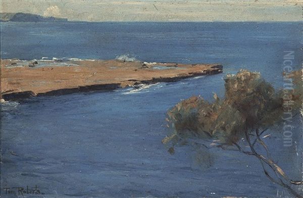 Coastal Scene, Nsw Oil Painting by Tom Roberts