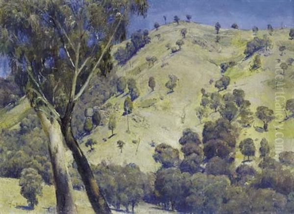 Dandenong Landscape Oil Painting by Thomas William Roberts