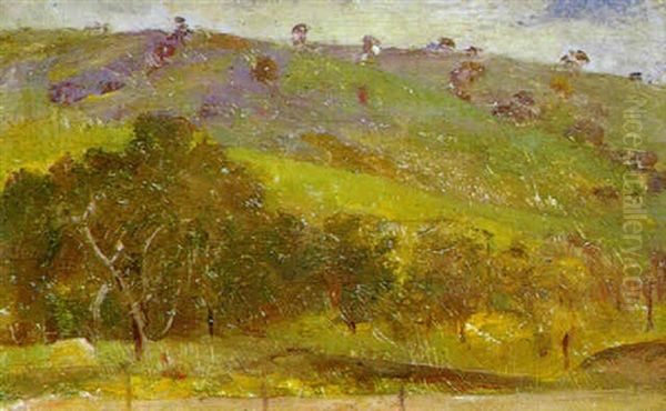 Tasmanian Hillside Oil Painting by Thomas William Roberts