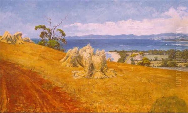 Near Ulverstone, Tasmania Oil Painting by Thomas William Roberts