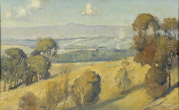 Dandenong Landscape Oil Painting by Tom Robertson