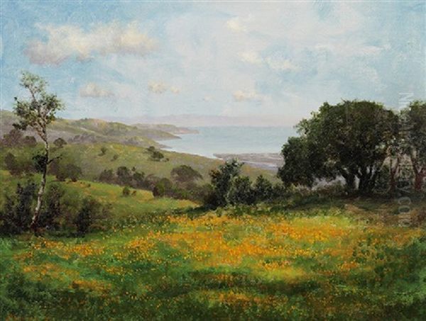 View Of San Francisco Bay With Poppies Oil Painting by Charles Dorman Robinson