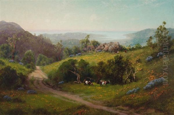 Cattle Grazing Among Wildflowers With A View Of The Bay Oil Painting by Charles Dorman Robinson