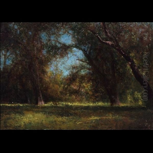 An Oak Opening Sonoma Oil Painting by Charles Dorman Robinson