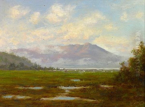 Tamalpais From The Marshes Oil Painting by Charles Dorman Robinson