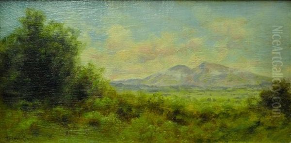 Mt. Diablo, Near Brentwood Oil Painting by Charles Dorman Robinson