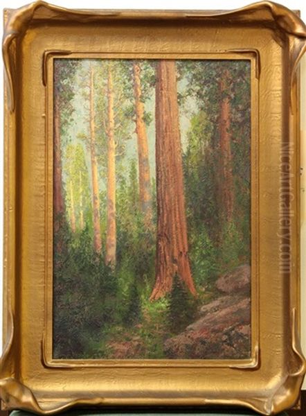 Redwoods Oil Painting by Charles Dorman Robinson