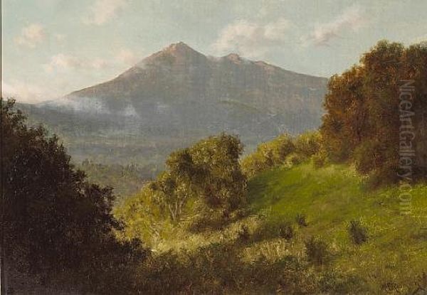 Mt. Tamalpais From The Headlands Oil Painting by Charles Dorman Robinson