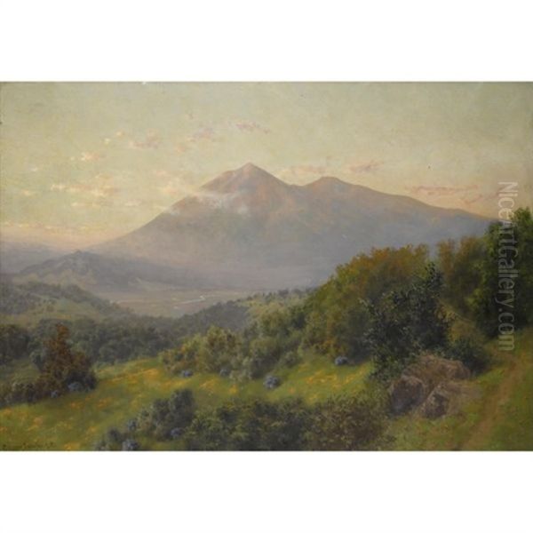 Mt. Tamalpais, California Oil Painting by Charles Dorman Robinson