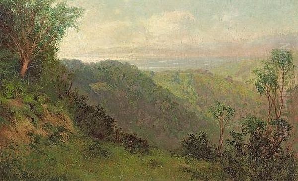 A Swale In Marin Oil Painting by Charles Dorman Robinson