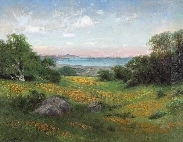 A View Of The Coast With Rolling Hills And Poppies Oil Painting by Charles Dorman Robinson