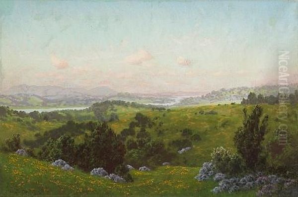 A Blooming Hillside With A River In The Distance Oil Painting by Charles Dorman Robinson