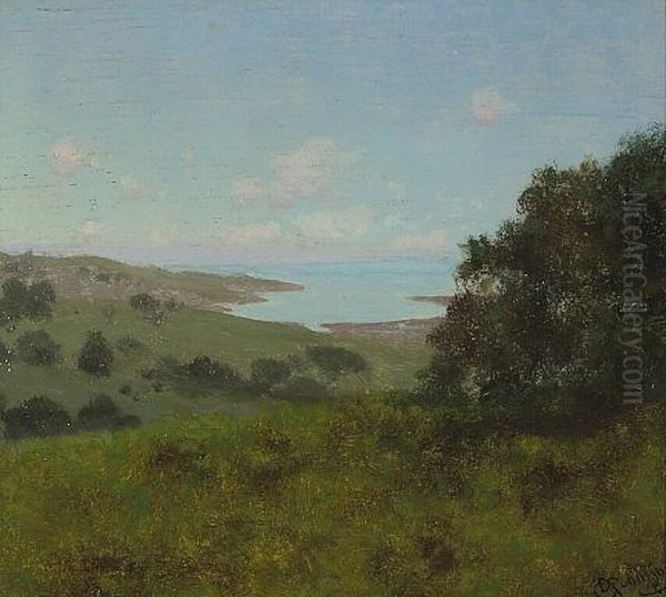 Coastal View With Rolling Hills Oil Painting by Charles Dorman Robinson