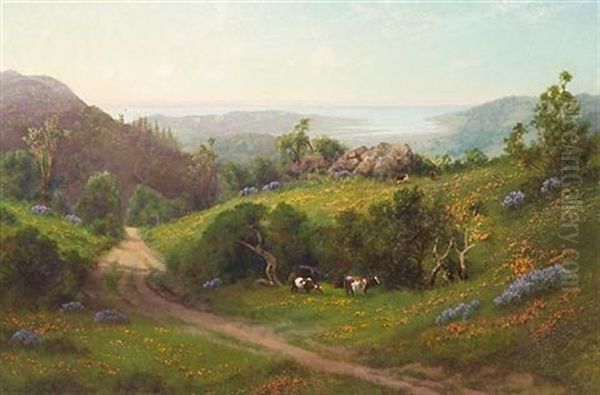 Cattle Grazing Among Wildflowers With A View Of The Bay Oil Painting by Charles Dorman Robinson