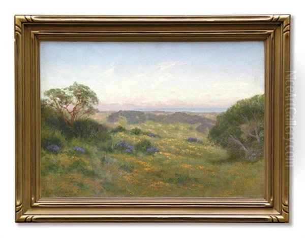 Hillsides Of Marin, Poppy Time Oil Painting by Charles Dorman Robinson