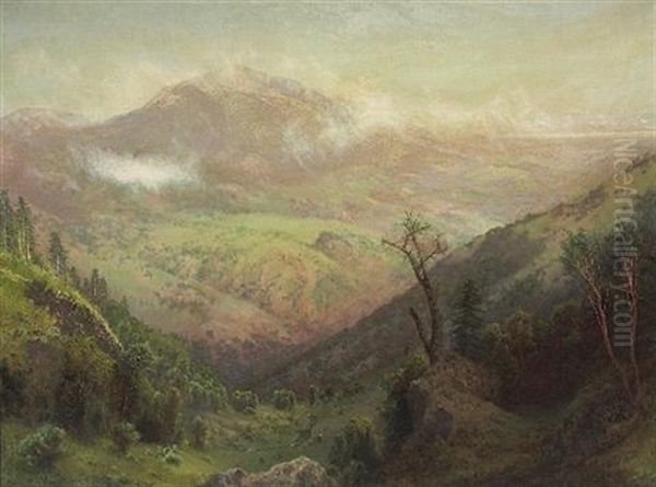 Mt. Diablo Oil Painting by Charles Dorman Robinson