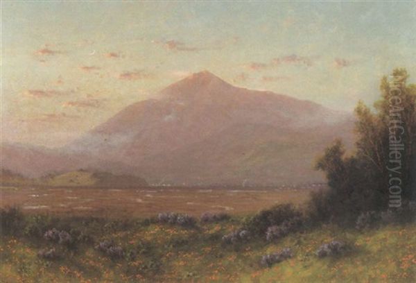 A View Of Mt.tamalpais From Larkspur Oil Painting by Charles Dorman Robinson