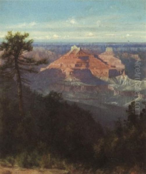 The Grand Canyon Of Arizona Oil Painting by Charles Dorman Robinson