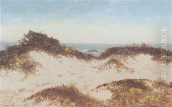 Flowering Dunes, Carmel Oil Painting by Charles Dorman Robinson