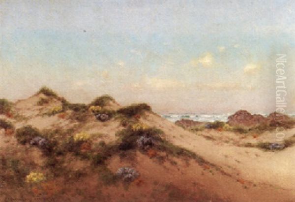 Flowering Dunes, California Oil Painting by Charles Dorman Robinson