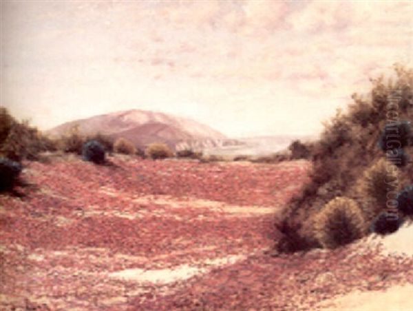 Flowering Dunes Oil Painting by Charles Dorman Robinson