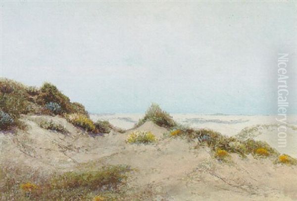 Flowering Dunes Oil Painting by Charles Dorman Robinson