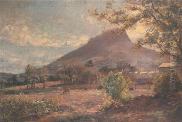 Capetown, South Africa Oil Painting by George Crosland Robinson