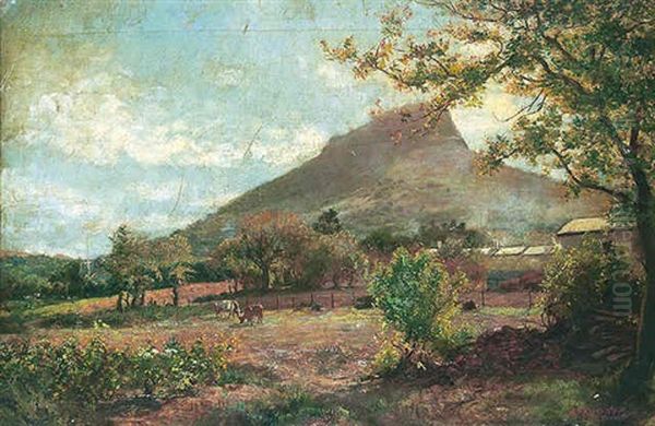 Capetown, South Africa Oil Painting by George Crosland Robinson