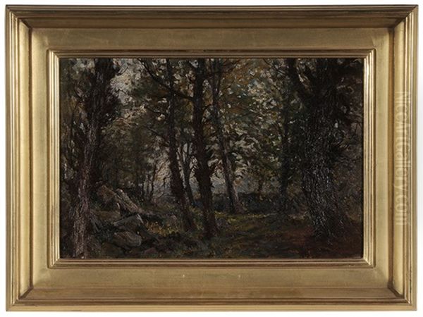 Woodland Landscape Oil Painting by Hal Robinson