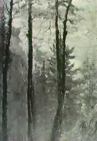 Through The Trees Oil Painting by Hal Robinson