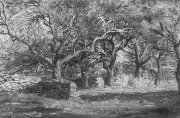 Orchard At Cajacet Oil Painting by Thomas Harris Robinson