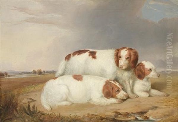 A Portrait Of Three Red And White Spaniels Oil Painting by William R. Robinson