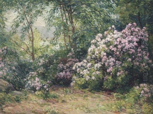 Mountain Laurel Oil Painting by William S. Robinson