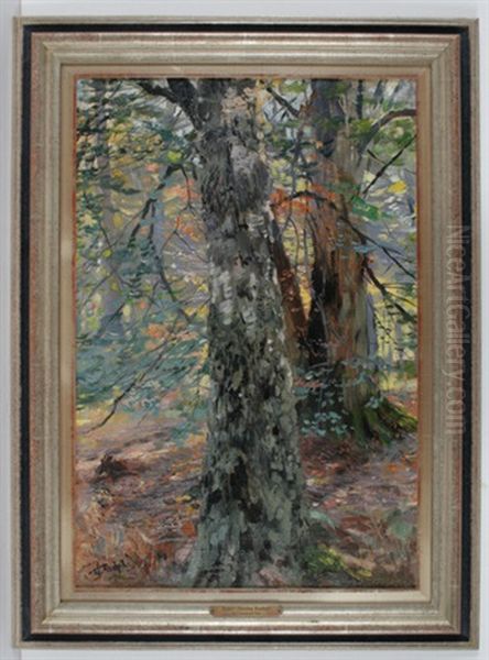 Birkenwald - Baumstudie (study) Oil Painting by Theodor Rocholl