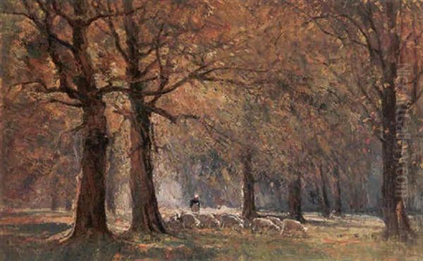 Pastorella Col Gregge Nel Bosco Oil Painting by Leonardo Roda