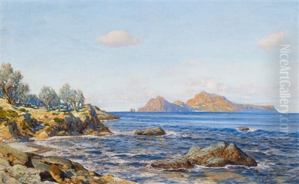 Blick Auf Capri Oil Painting by Max Roeder