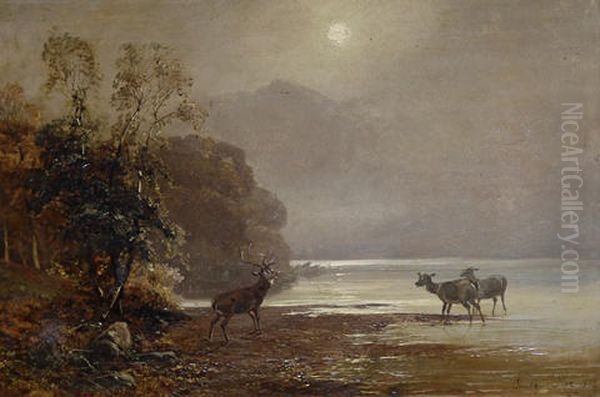 Deer By A Loch Oil Painting by Clarence Henry Roe