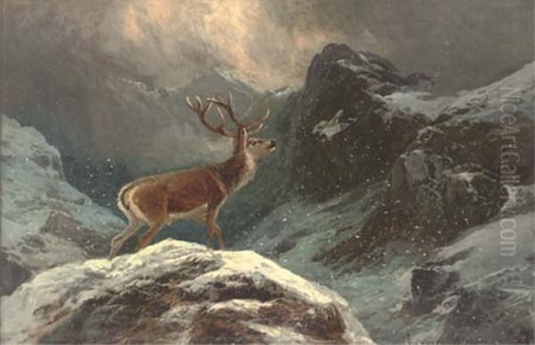 A Stag In A Highland Winter Landscape Oil Painting by Clarence Henry Roe