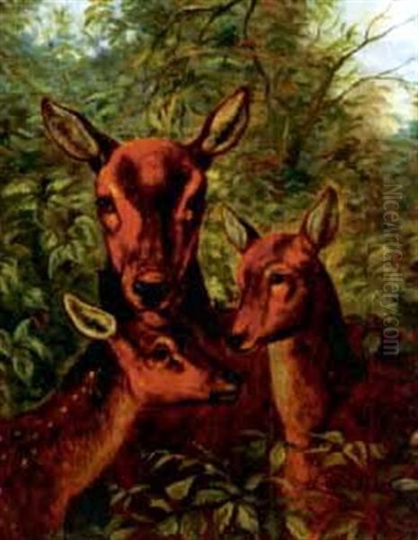 A Mother Doe With Her Fawns Oil Painting by Clarence Henry Roe