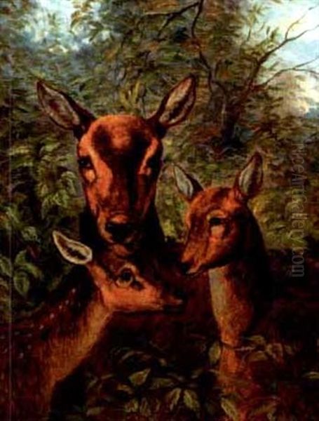 A Mother Doe With Her Fawns Oil Painting by Clarence Henry Roe