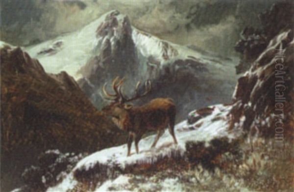 A Stag In A Midnight Winter Landscape Oil Painting by Clarence Henry Roe