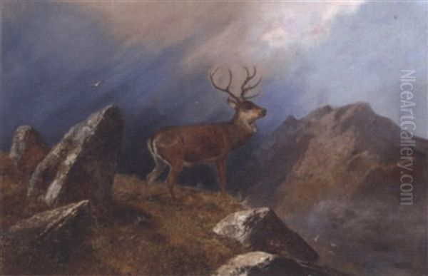 A Stag In A Highland Landscape Oil Painting by Clarence Henry Roe