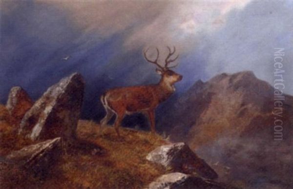 A Stag In A Highland Landscape Oil Painting by Clarence Henry Roe