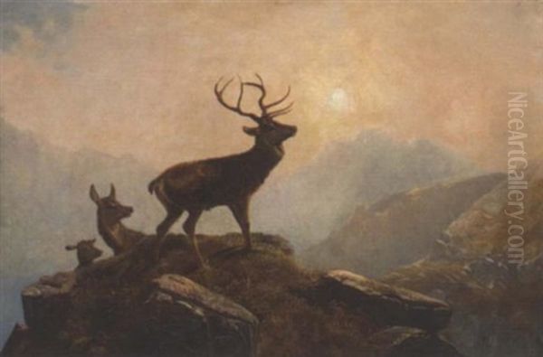 Stags In A Highland Landscape Oil Painting by Clarence Henry Roe