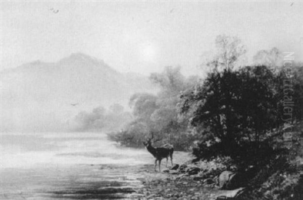 Stag By The River Oil Painting by Clarence Henry Roe