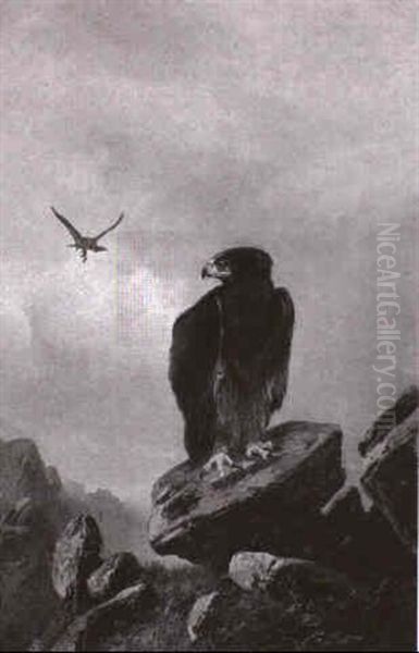 Steinadler Im Gebirge Oil Painting by Clarence Henry Roe